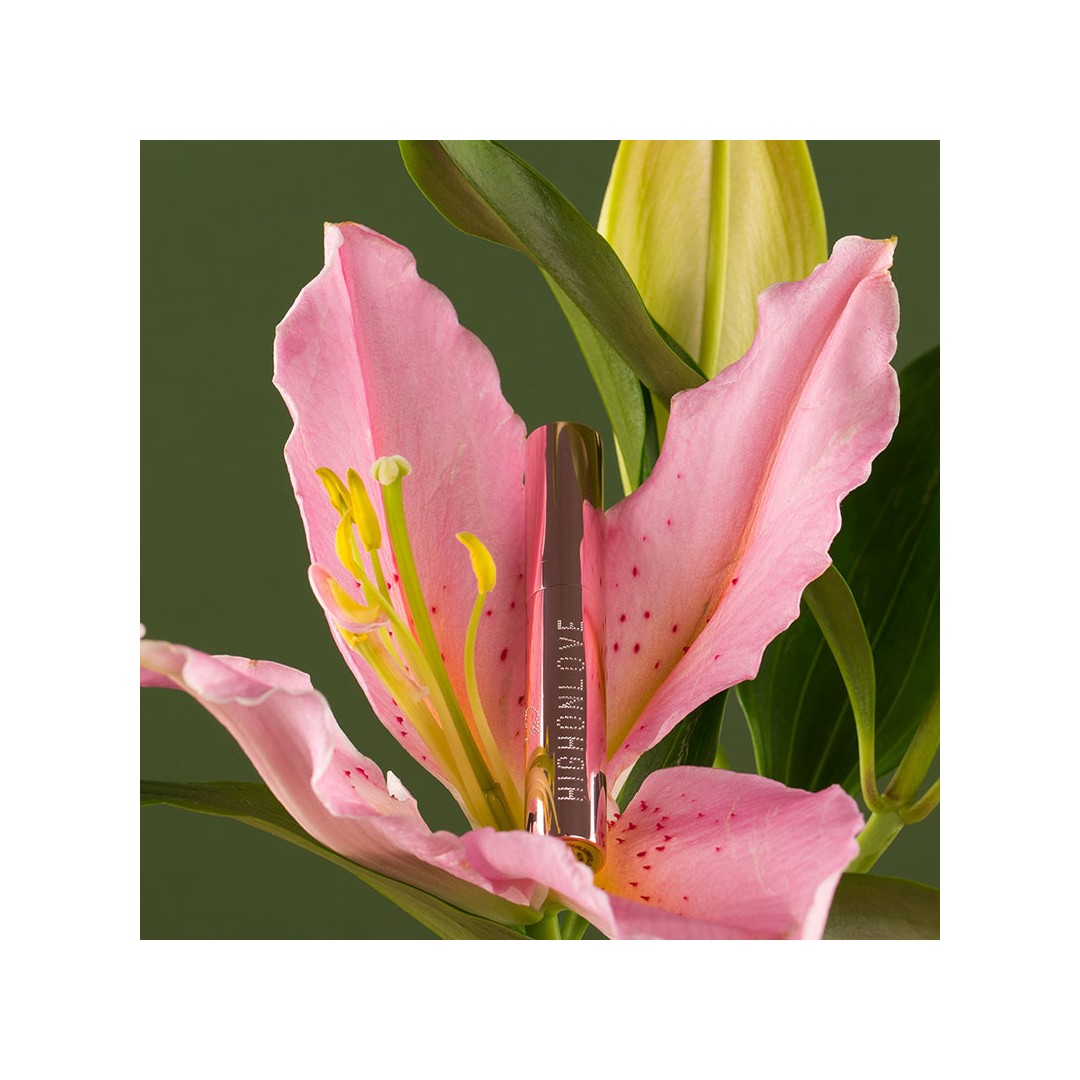 Brillant à lèvres - Gloss haut de gamme pour les couples