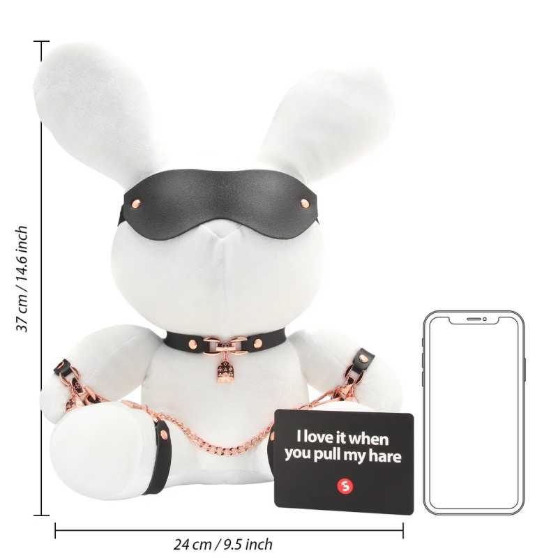 Lapin BDSM