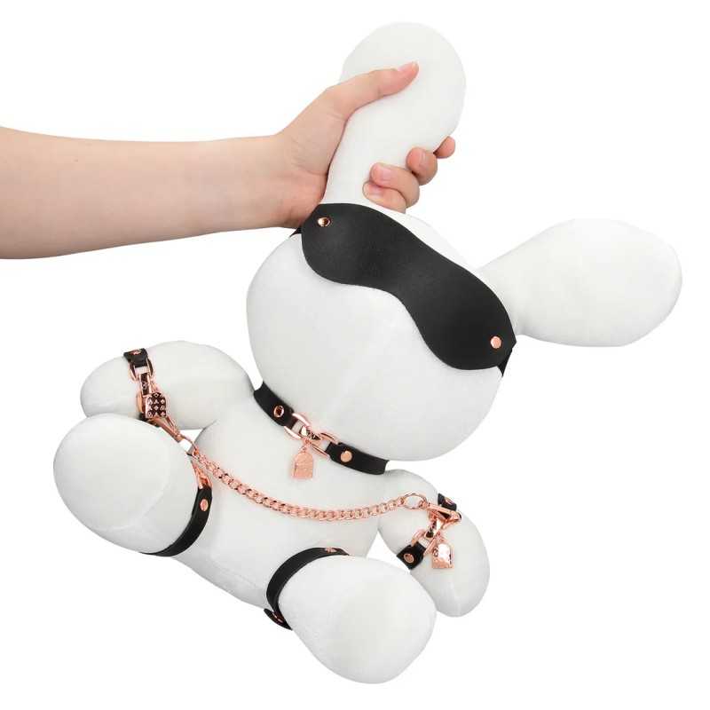 Lapin BDSM
