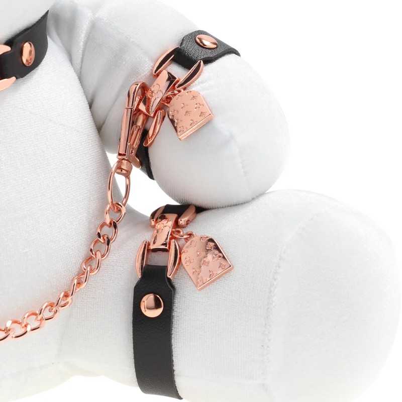 Lapin BDSM