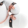 Lapin BDSM