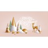 Carte cadeaux
