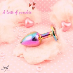 Plug aluminium et bijou arc-en-ciel XS, S ou M