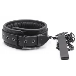 Collier expert avec chaine noire