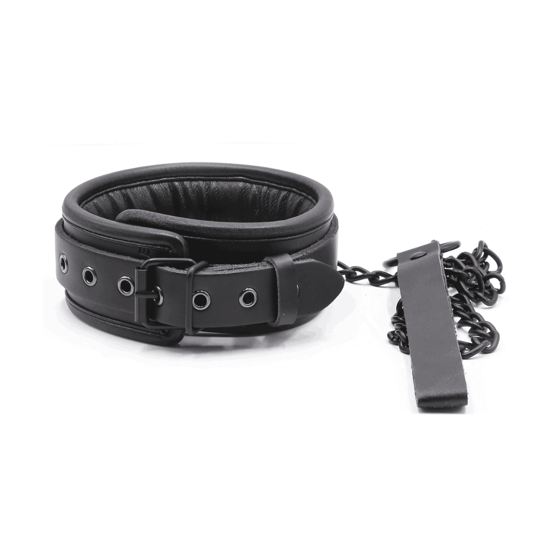 Collier expert avec chaine noire