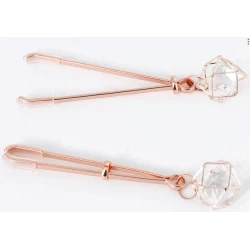 Pinces à seins avec bijoux