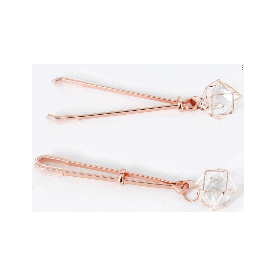 Pinces à seins avec bijoux