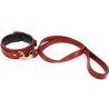 Kit BDSM Premium