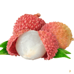 Litchi