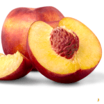 Pêche