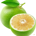Pamplemousse