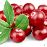 Cranberry